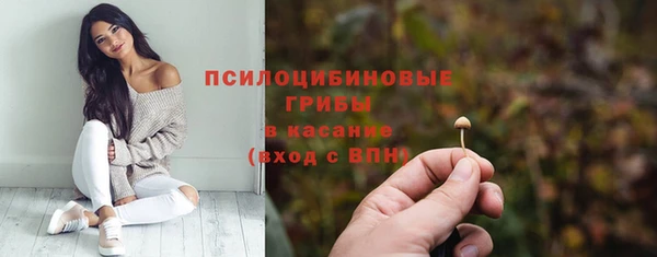 синтетический гашиш Заводоуковск