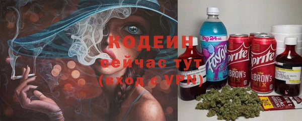 синтетический гашиш Заводоуковск