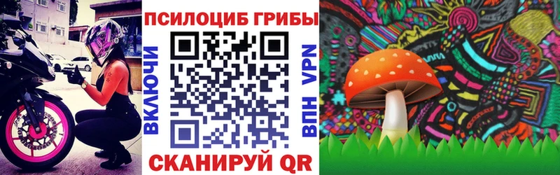 Галлюциногенные грибы Psilocybine cubensis  цена наркотик  гидра зеркало  Ковров 