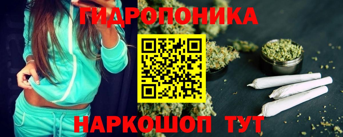 Шишки марихуана конопля  Конопля SATIVA & INDICA  Канабис Bruce Banner  Шишки марихуана сатива  Вход с VPN  Ковров 